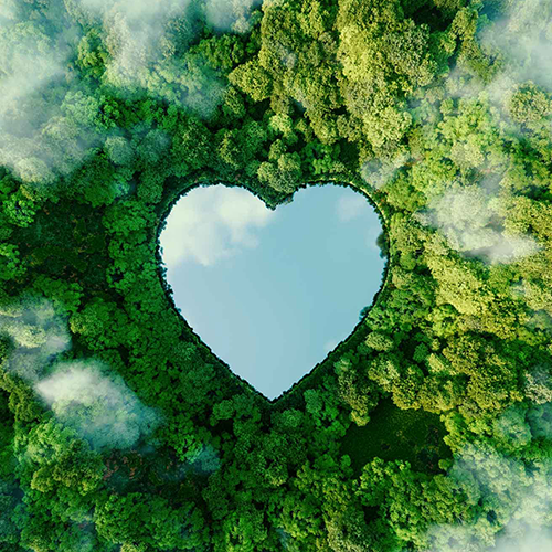 Environmental Responsibility