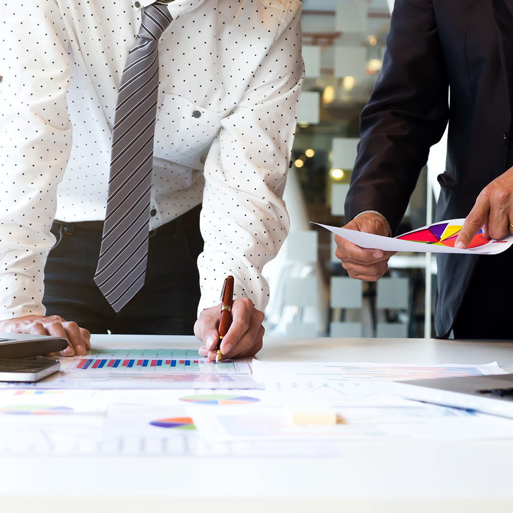 Project Controls & Performance Reporting