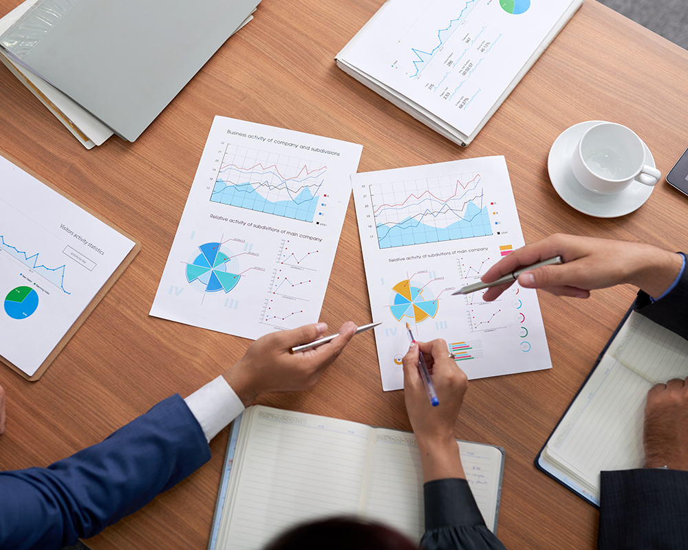 Project Risk Management Program