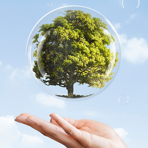 Social Impact & People-Centered Practices